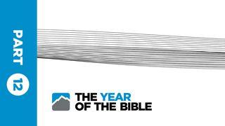Year of the Bible: Part Twelve of Twelve 2 Peter 2:3 New International Version