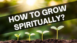 How to Grow Spiritually? Colossians 2:6-7 The Message