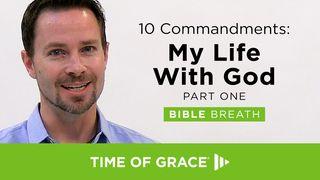 10 Commandments: My Life With God Gênesis 2:15-18 Almeida Revista e Corrigida