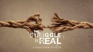 The Struggle Is Real 1 Peter 3:21 New International Version