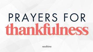 Thankfulness: Bible Verses and Prayers Colossians 3:15 New American Standard Bible - NASB 1995