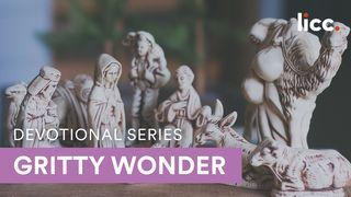 Gritty Wonder: Christmas Through Fresh Eyes Matthew 1:18-21 New International Version