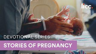 Biblical Lessons From Stories of Pregnancy Luke 1:31-34 New International Version