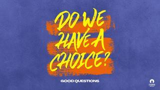 Good Questions: Do We Have a Choice? Romans 9:3 New International Version