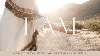 "I Am" John 13:21-30 New International Version