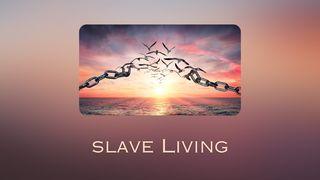 Slave Living Isaiah 44:21-23 English Standard Version 2016