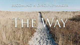 The Way Hebrews 4:15 New International Version