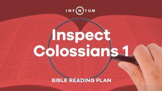 Infinitum: Inspect Colossians 1 Colossians 1:15-17 New International Version