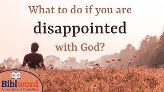 What to Do if You Are Disappointed with God? Hebrews 2:10 New International Version