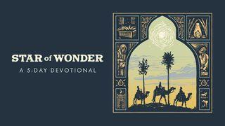Star of Wonder: 5-Days of Advent to Illuminate the People, Places, and Purpose of the First Christmas Revelation 1:13-18 New International Version