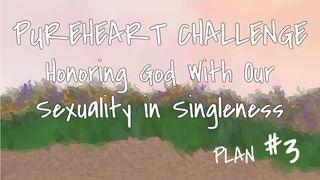Honoring God With Our Sexuality in Singleness 1 Corinthians 10:23 New International Version