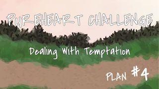 Dealing With Sexual Temptation Psalms 61:2-3 New International Version