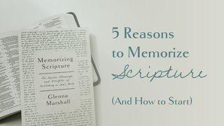 5 Reasons to Memorize Scripture (And How to Start) Romans 6:14 New International Version