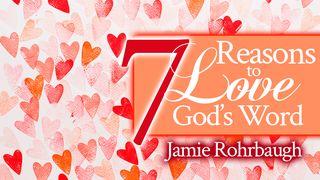 7 Reasons to Love God's Word John 6:63 King James Version