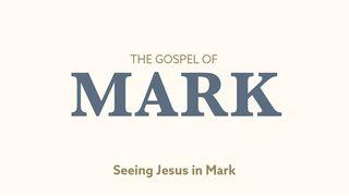 Seeing Jesus in the Gospel of Mark Mark 8:11-38 New International Version