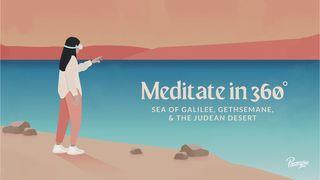 Meditate in 360 Psalms 63:1-5 New International Version