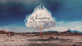 Whispers in the Wilderness Luke 7:11-14 New American Standard Bible - NASB 1995
