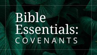 The Covenants of the Bible Exodus 19:5-8 New Century Version