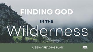 Finding God in the Wilderness 1 Kings 19:8 New International Version