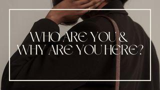Who Are You and Why Are You Here? Matthew 10:8 English Standard Version 2016
