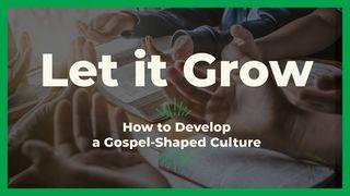 Let It Grow: How to Develop a Gospel-Shaped Culture Philippians 1:27 New International Version