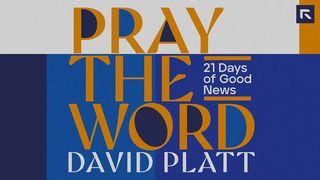 Pray the Word 1 Corinthians 3:1-6 New International Version