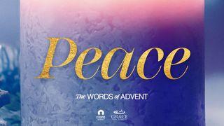 [The Words of Advent] PEACE Luke 2:12 New International Version