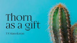 Thorn as a Gift 2 Corinthians 12:9 Holman Christian Standard Bible