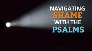 Navigating Shame With the Psalms Psalms 139:15 New International Version