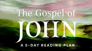 The Gospel of John: Savoring the Peace of Jesus in a Chaotic World John 2:19 New International Version