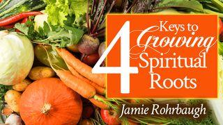 4 Keys to Growing Spiritual Roots Matthew 5:44 New Living Translation
