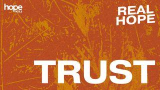 Real Hope: Trust 2 Samuel 24:10-25 New International Version