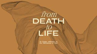 From Death to Life Matthew 6:30 New International Version