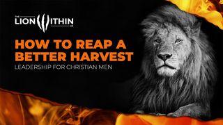 TheLionWithin.Us: How to Reap a Better Harvest Mark 4:6 New International Version