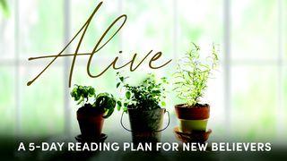 Alive: Grow in Your Relationship With Jesus Romans 3:10 New International Version