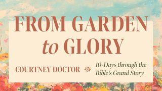 From Garden to Glory: 10 Days Through the Bible's Grand Story Exodus 19:5-8 Amplified Bible