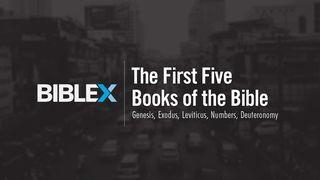 BibleX: The First 5 Books of the Bible  Numbers 14:18 English Standard Version 2016