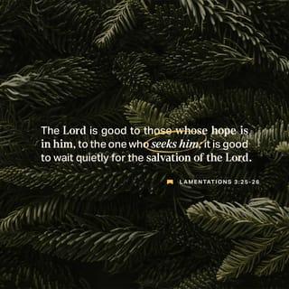 Lamentations 3:26-27 - It is good that a man should both hope and quietly
Wait for the salvation of the LORD.
It is good for a man that he bear
The yoke in his youth.