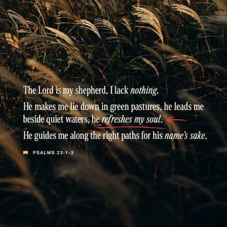 Psalms 23:2-3 - He makes me lie down in green pastures,
he leads me beside quiet waters,
he refreshes my soul.
He guides me along the right paths
for his name’s sake.
