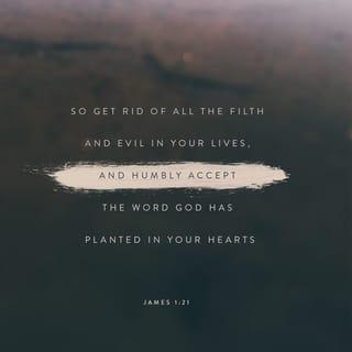 James 1:21 - Therefore, get rid of all moral filth and the evil that is so prevalent and humbly accept the word planted in you, which can save you.