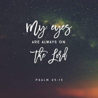 Psalms 25:14-15 - The LORD confides in those who fear him;
he makes his covenant known to them.
My eyes are ever on the LORD,
for only he will release my feet from the snare.