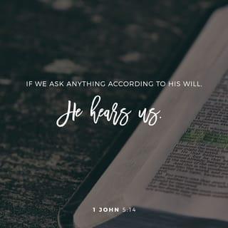1 John 5:14 - And this is the confidence that we have in him, that, if we ask any thing according to his will, he heareth us