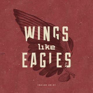 Isaiah 40:30-31 - Even youths shall faint and be weary,
and young men shall fall exhausted;
but they who wait for the LORD shall renew their strength;
they shall mount up with wings like eagles;
they shall run and not be weary;
they shall walk and not faint.