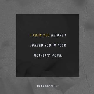 Jeremiah 1:4-6 - The word of the LORD came to me, saying,
“Before I formed you in the womb I knew you,
before you were born I set you apart;
I appointed you as a prophet to the nations.”
“Alas, Sovereign LORD,” I said, “I do not know how to speak; I am too young.”