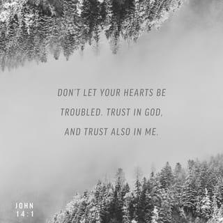 John 14:1-11 - “Don’t let your hearts be troubled. Trust in God, and trust also in me. There is more than enough room in my Father’s home. If this were not so, would I have told you that I am going to prepare a place for you? When everything is ready, I will come and get you, so that you will always be with me where I am. And you know the way to where I am going.”
“No, we don’t know, Lord,” Thomas said. “We have no idea where you are going, so how can we know the way?”
Jesus told him, “I am the way, the truth, and the life. No one can come to the Father except through me. If you had really known me, you would know who my Father is. From now on, you do know him and have seen him!”
Philip said, “Lord, show us the Father, and we will be satisfied.”
Jesus replied, “Have I been with you all this time, Philip, and yet you still don’t know who I am? Anyone who has seen me has seen the Father! So why are you asking me to show him to you? Don’t you believe that I am in the Father and the Father is in me? The words I speak are not my own, but my Father who lives in me does his work through me. Just believe that I am in the Father and the Father is in me. Or at least believe because of the work you have seen me do.