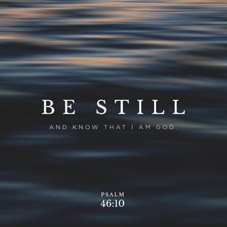 Psalms 46:10-11 - Be still, and know that I am God;
I will be exalted among the nations,
I will be exalted in the earth!
The LORD of hosts is with us;
The God of Jacob is our refuge.
Selah