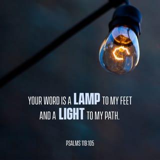 Psalms 119:105 - Your word is a lamp for my feet
and a light on my path.
