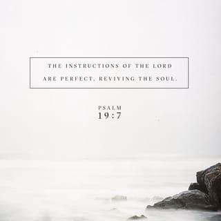Psalms 19:7-9 - The law of the LORD is perfect,
refreshing the soul.
The statutes of the LORD are trustworthy,
making wise the simple.
The precepts of the LORD are right,
giving joy to the heart.
The commands of the LORD are radiant,
giving light to the eyes.
The fear of the LORD is pure,
enduring forever.
The decrees of the LORD are firm,
and all of them are righteous.