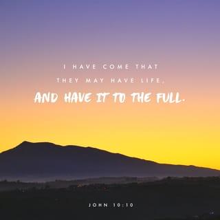 John 10:10 - The thief comes only to steal and kill and destroy; I have come that they may have life, and have it to the full.