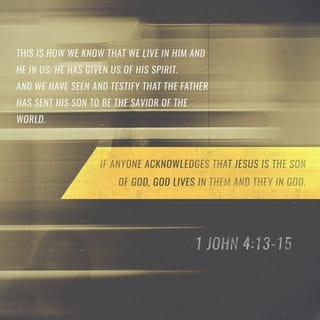 1 John 4:13-15 - This is how we know that we live in him and he in us: He has given us of his Spirit. And we have seen and testify that the Father has sent his Son to be the Savior of the world. If anyone acknowledges that Jesus is the Son of God, God lives in them and they in God.